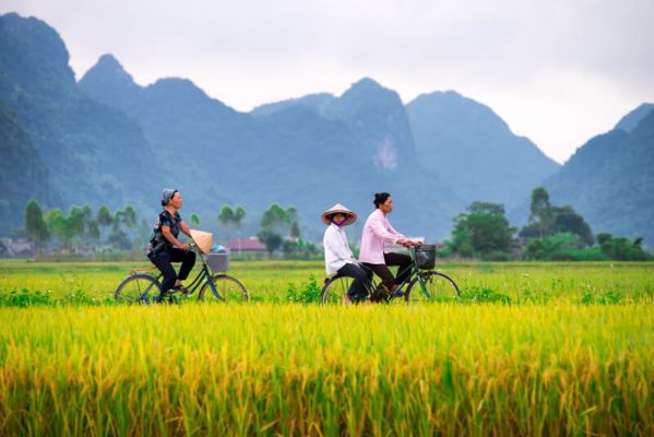 Vietnamese locals on a bike