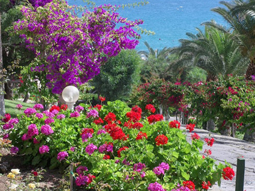 Garden at the Denizkizi Resort