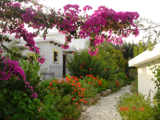 Garden at the Santoria Holiday Village